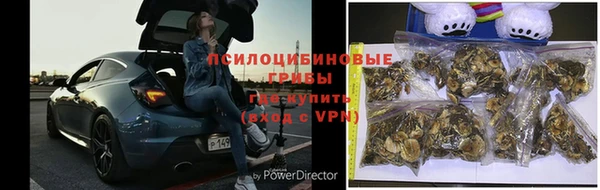 гидра Балахна