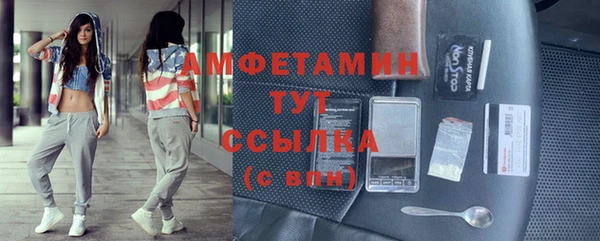 гидра Балахна