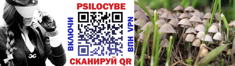 Галлюциногенные грибы Cubensis Нерюнгри